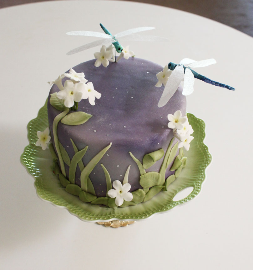 Dragonfly Birthday Decorations Dragonfly Party Supplies